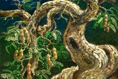 lukisan-sunarno-bonsai_asem
